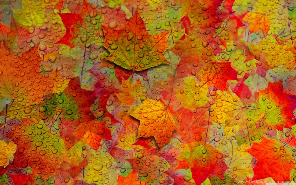 Seasons Archives Page 15 Of 17 Free Wallpapers Full Hd 1080p ...