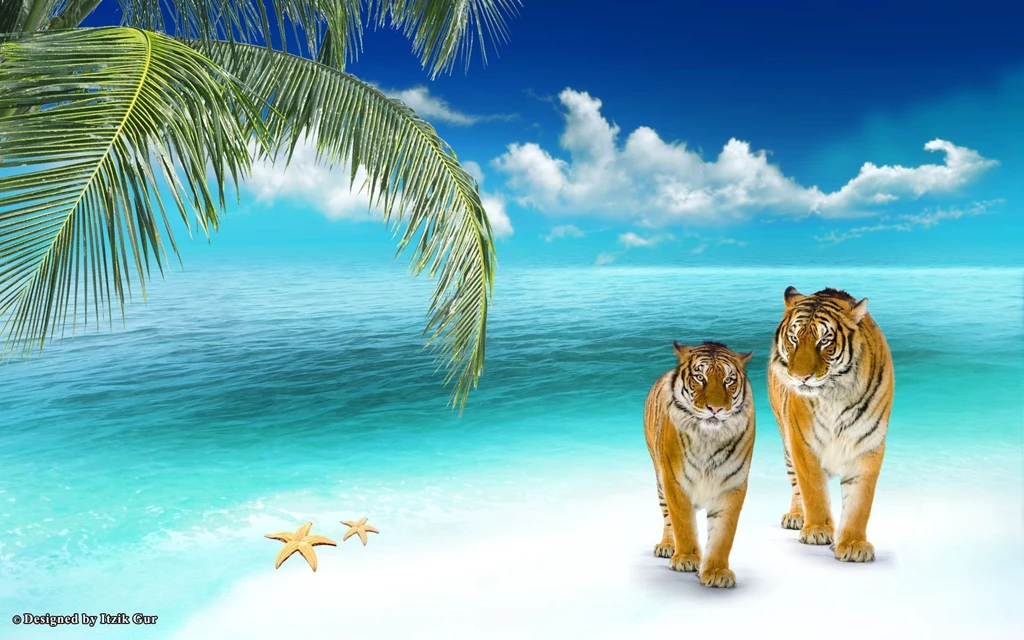 Category: Beach Gallery Wallpapers Page 4 Of 5 ›› Page 4