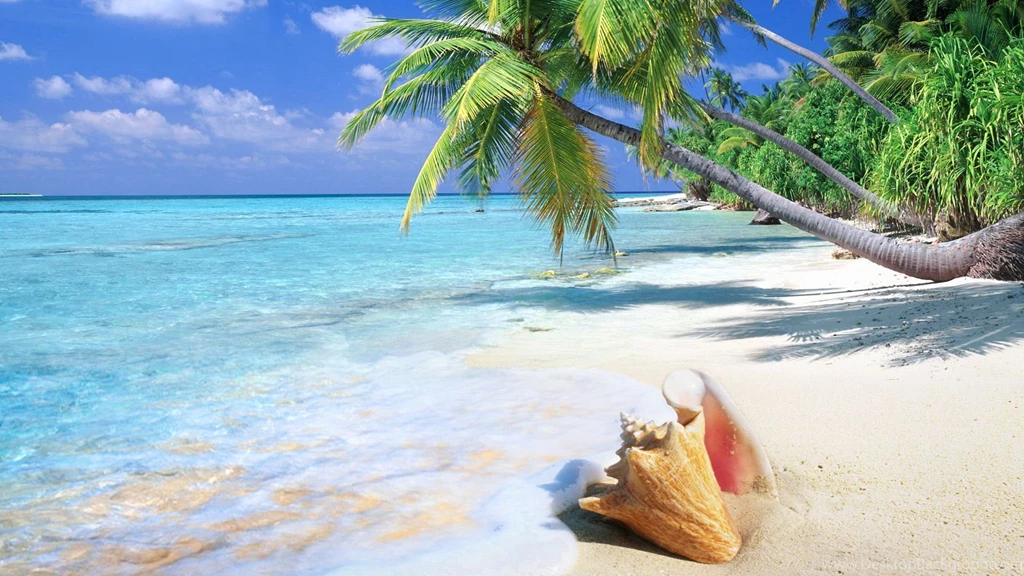 Tropical Beach Wallpapers, Tropical Beach Photos, New Wallpapers