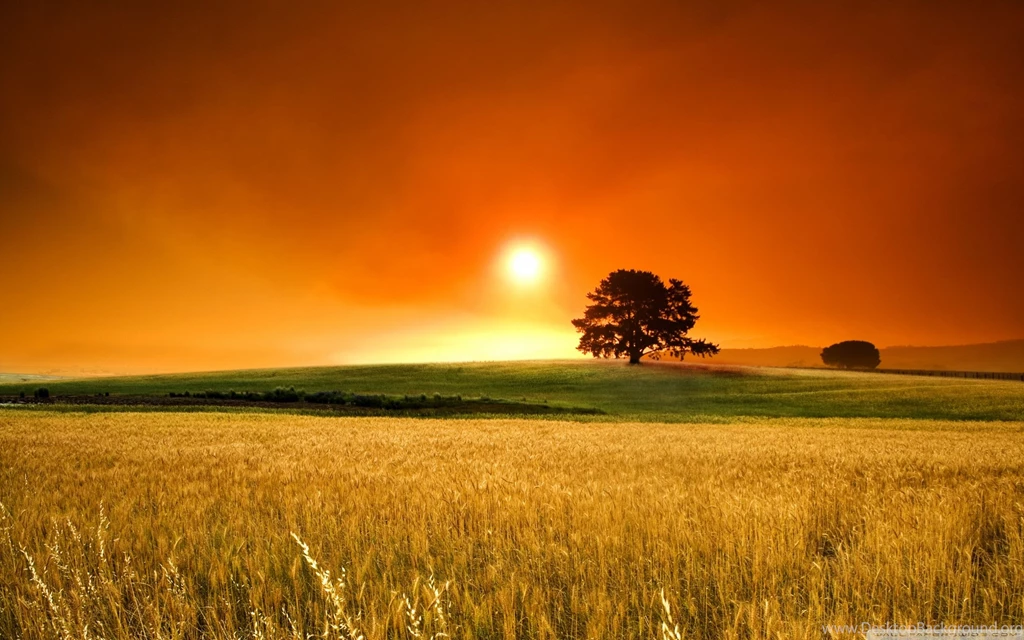 Summer Sunset Wallpapers Full HD [2560x1600]   Free Wallpapers Full ...