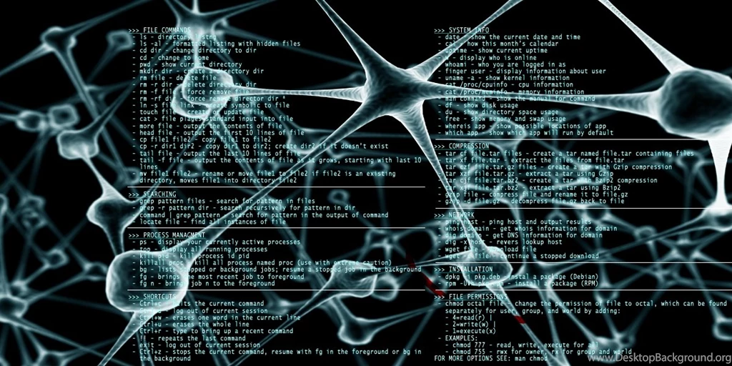 Neuron Cli Just Made This For My Netbook