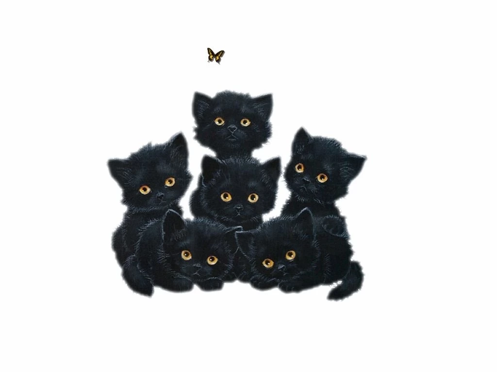 Desktop Wallpaper, Six Black Kittens