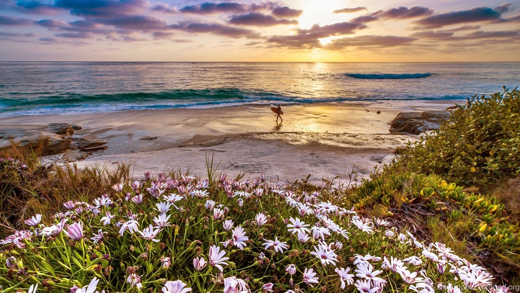 4K Ultra HD California Wallpapers HD, Desktop Backgrounds 3840x2160