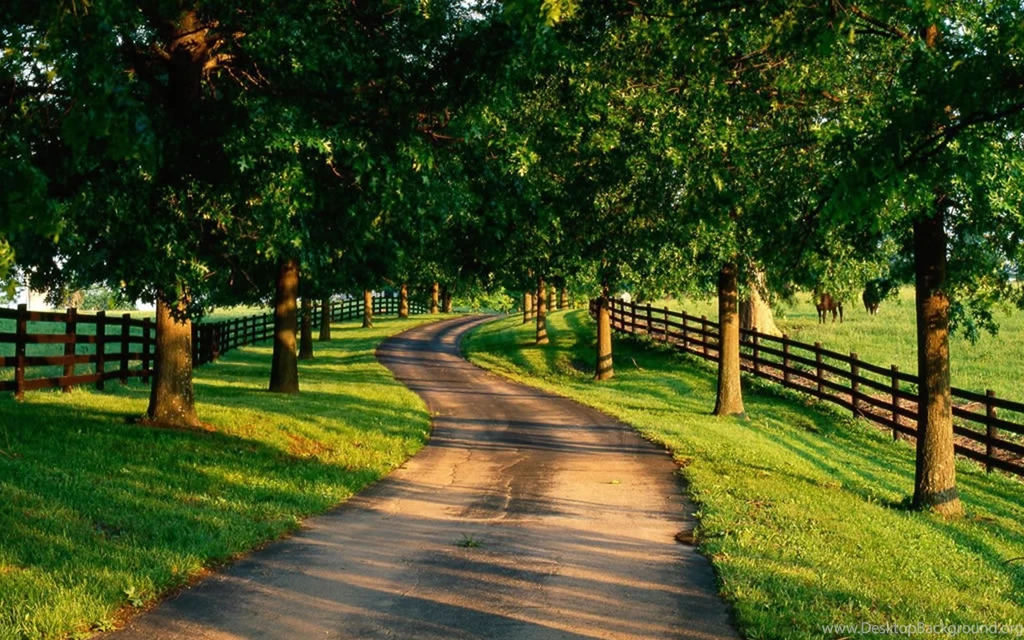 Road Computer Wallpapers, Desktop Backgrounds