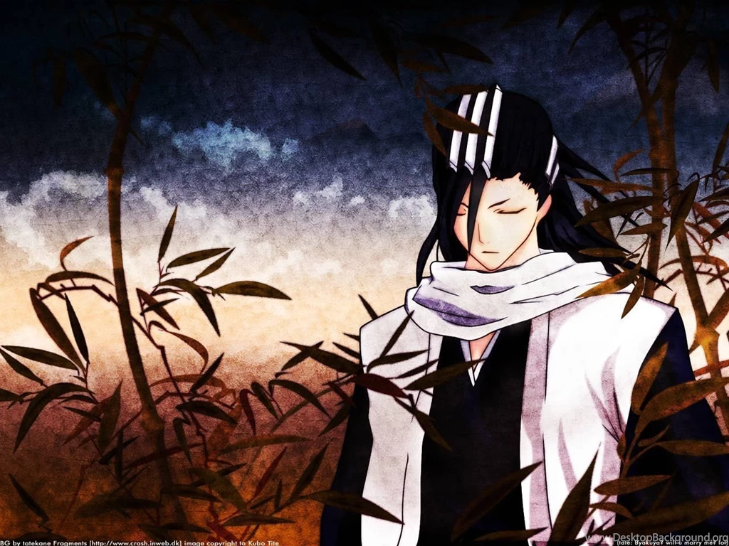Anime Wallpapers Bleach 89428 Free Download Wallpapers   (
