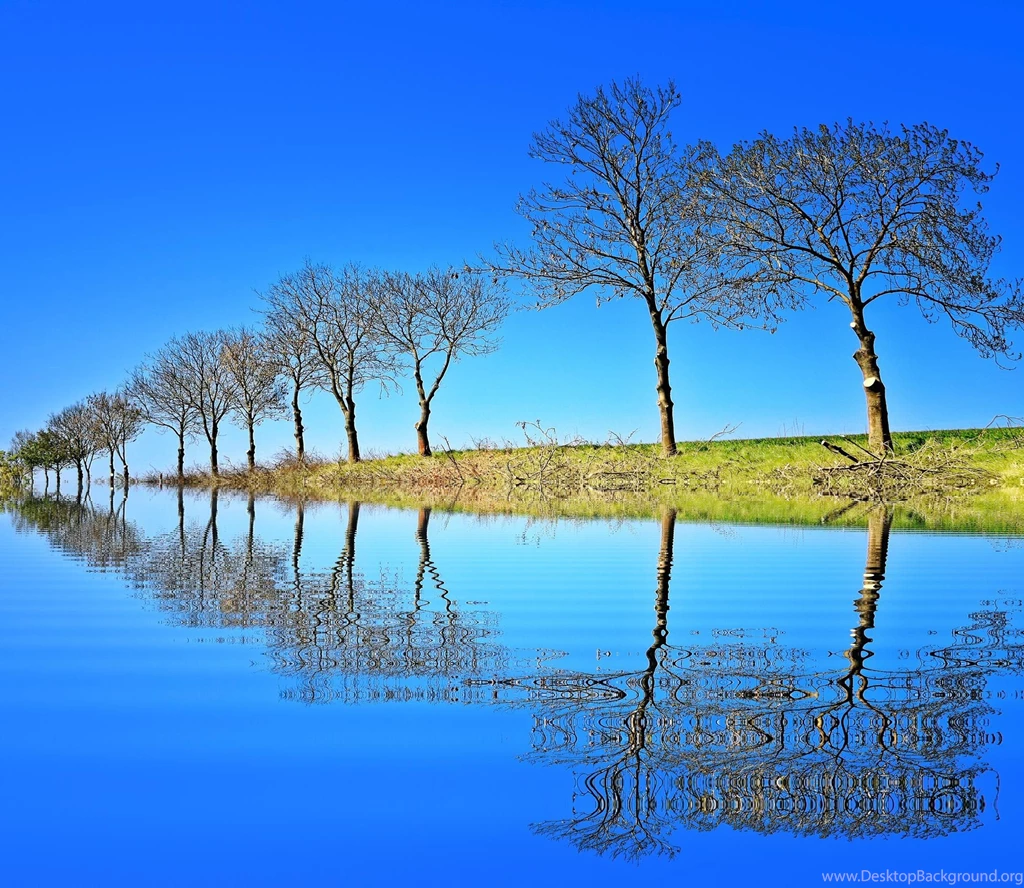 Amazing & Beautiful Free Nature Wallpapers HD