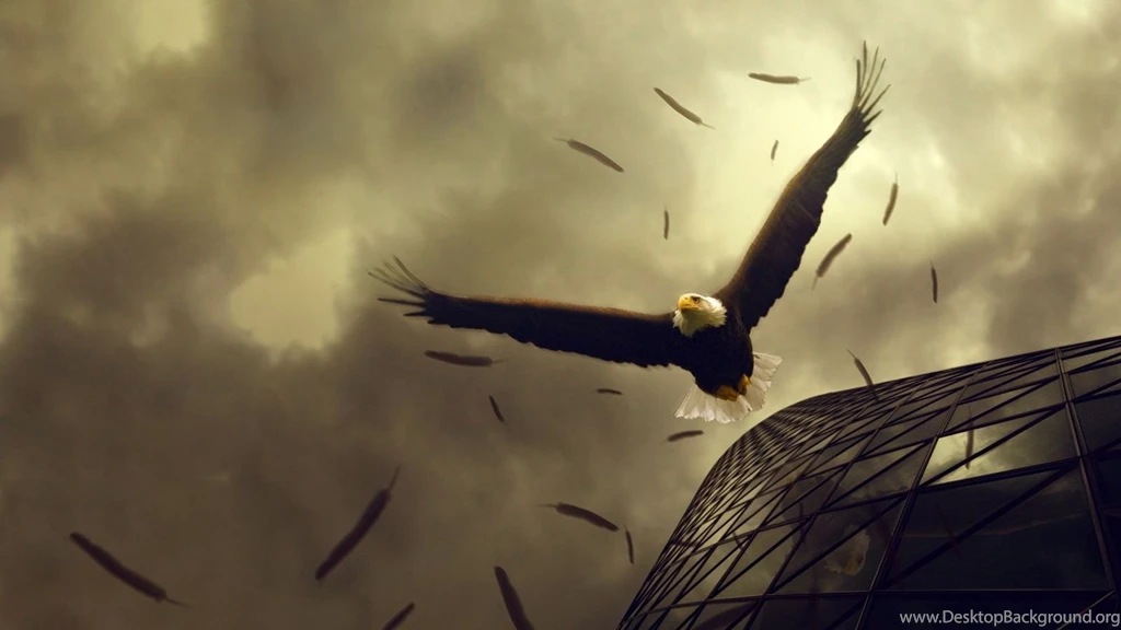 Free HD Skull Art Full Wallpapers 1080p Jpg Good Quality Wallpapers ...