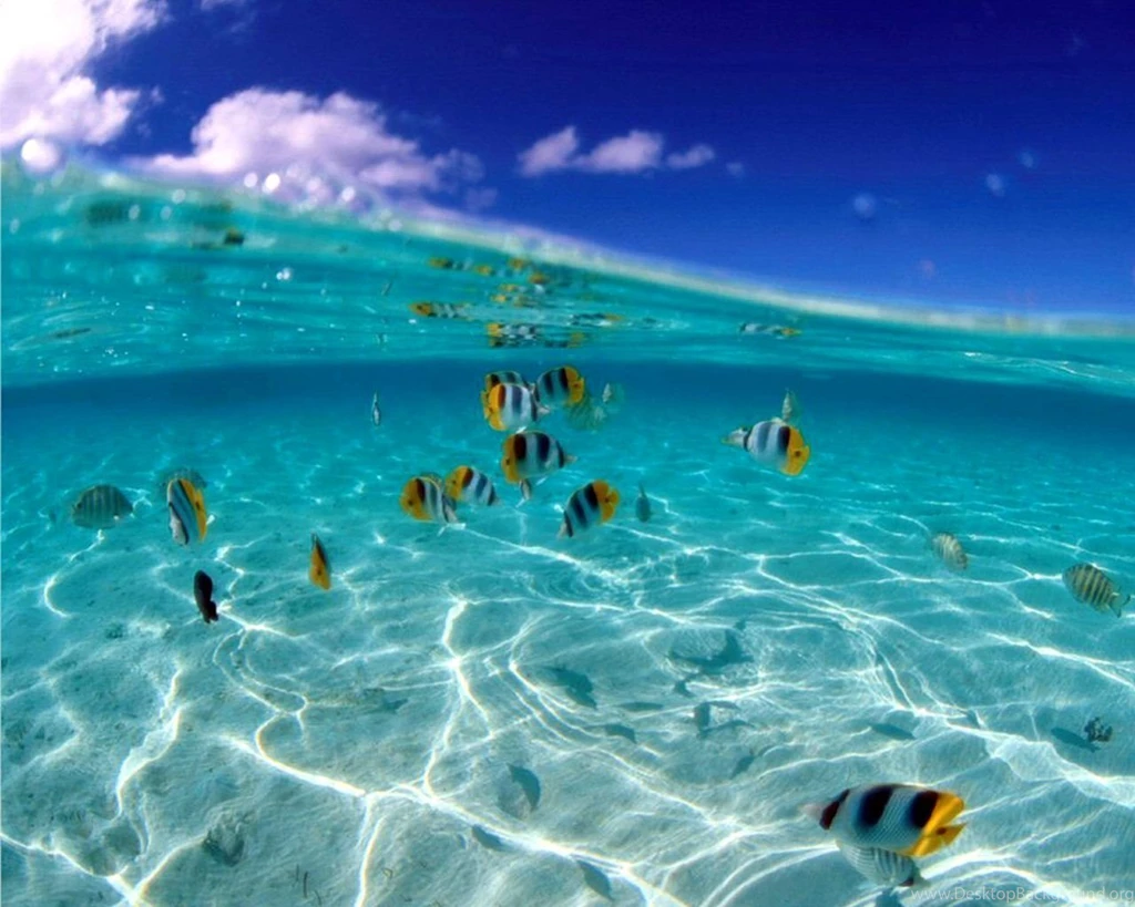 Water HD Wallpapers And Backgrounds