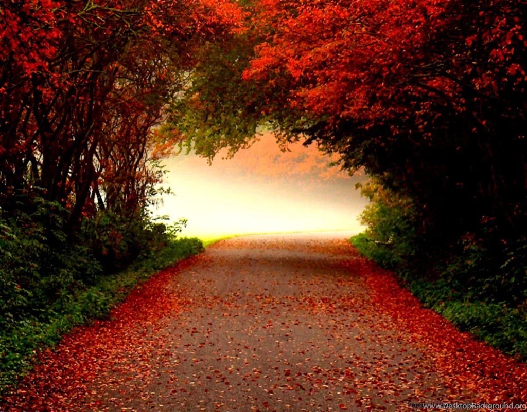 Autumn Desktop Wallpapers Downloads