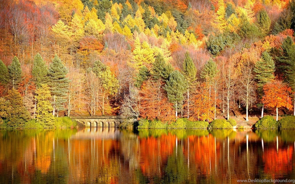 Free Desktop Backgrounds For Fall Wide Wallpapers