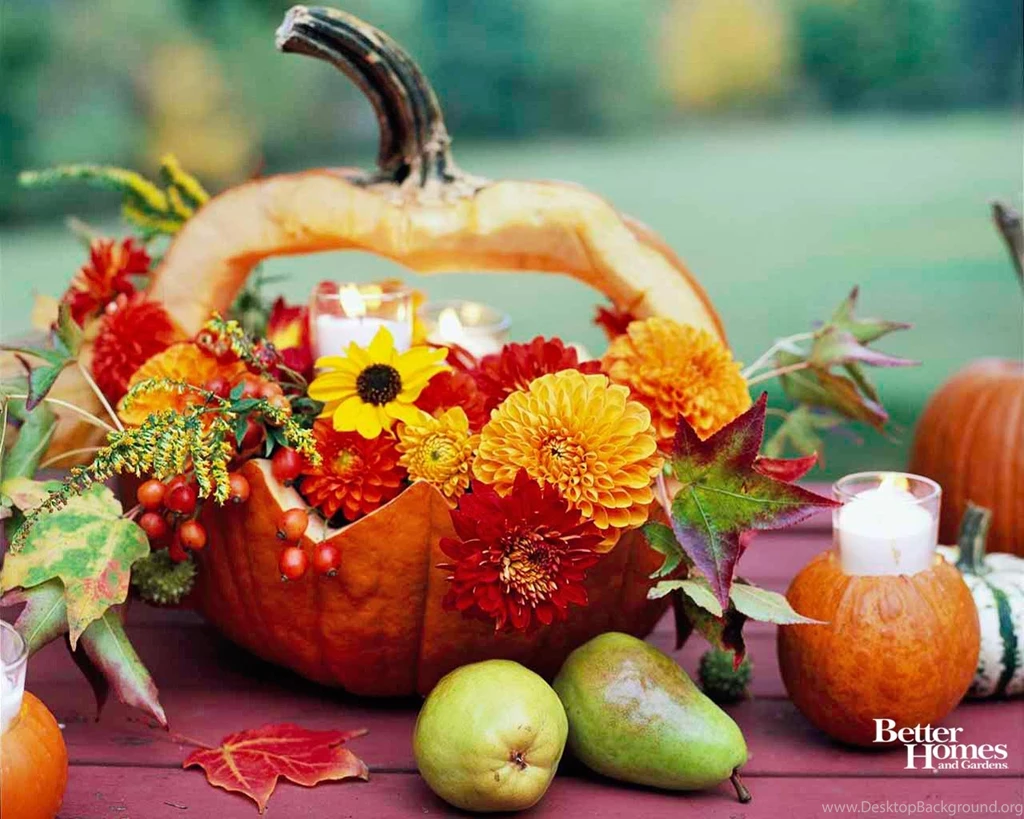 Free fall colors desktop Free fall colors desktop – Senior Care ...