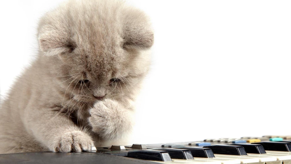 Piano Desktop Wallpapers Wallpaper, High Definition, High ...