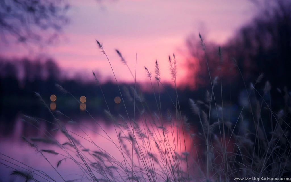 Beach Wallpapers STAY054