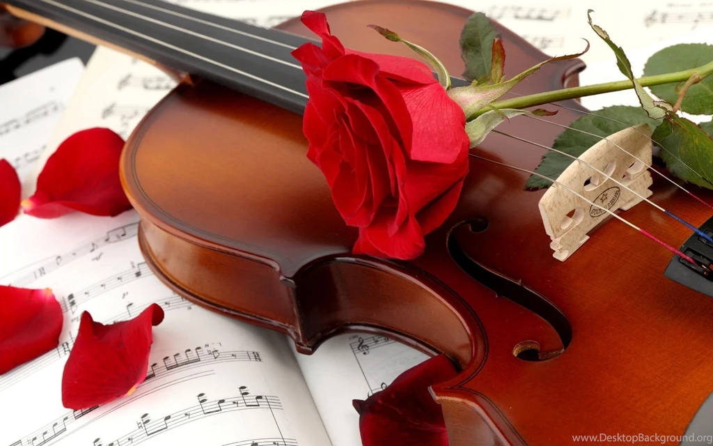 Violin And Rose Flower Wallpapers