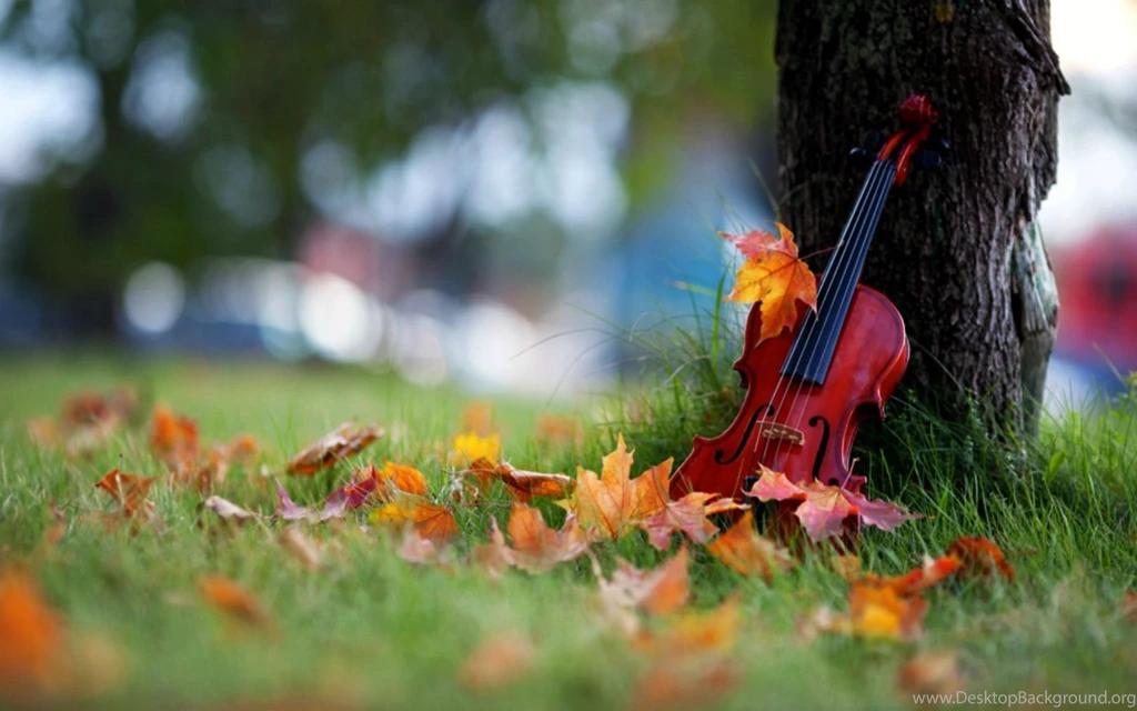 Violin Resting On Tree