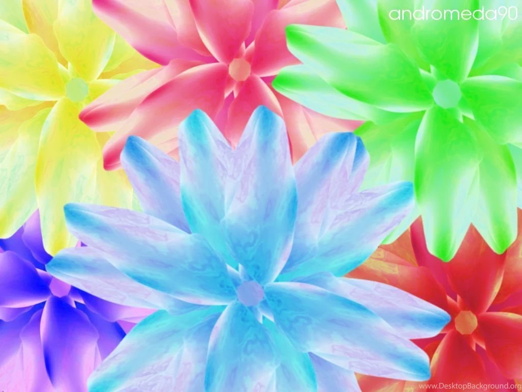 Bright Floral Wallpapers Wallpapers HD Wide