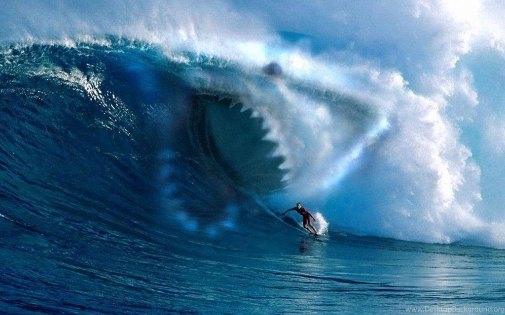 Shark Wallpapers 1280x800 Wallpapers,shark 1280x800 Wallpapers ...