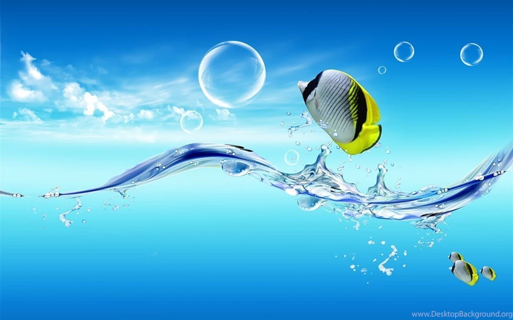 Fish Out Of The Water Wallpapers