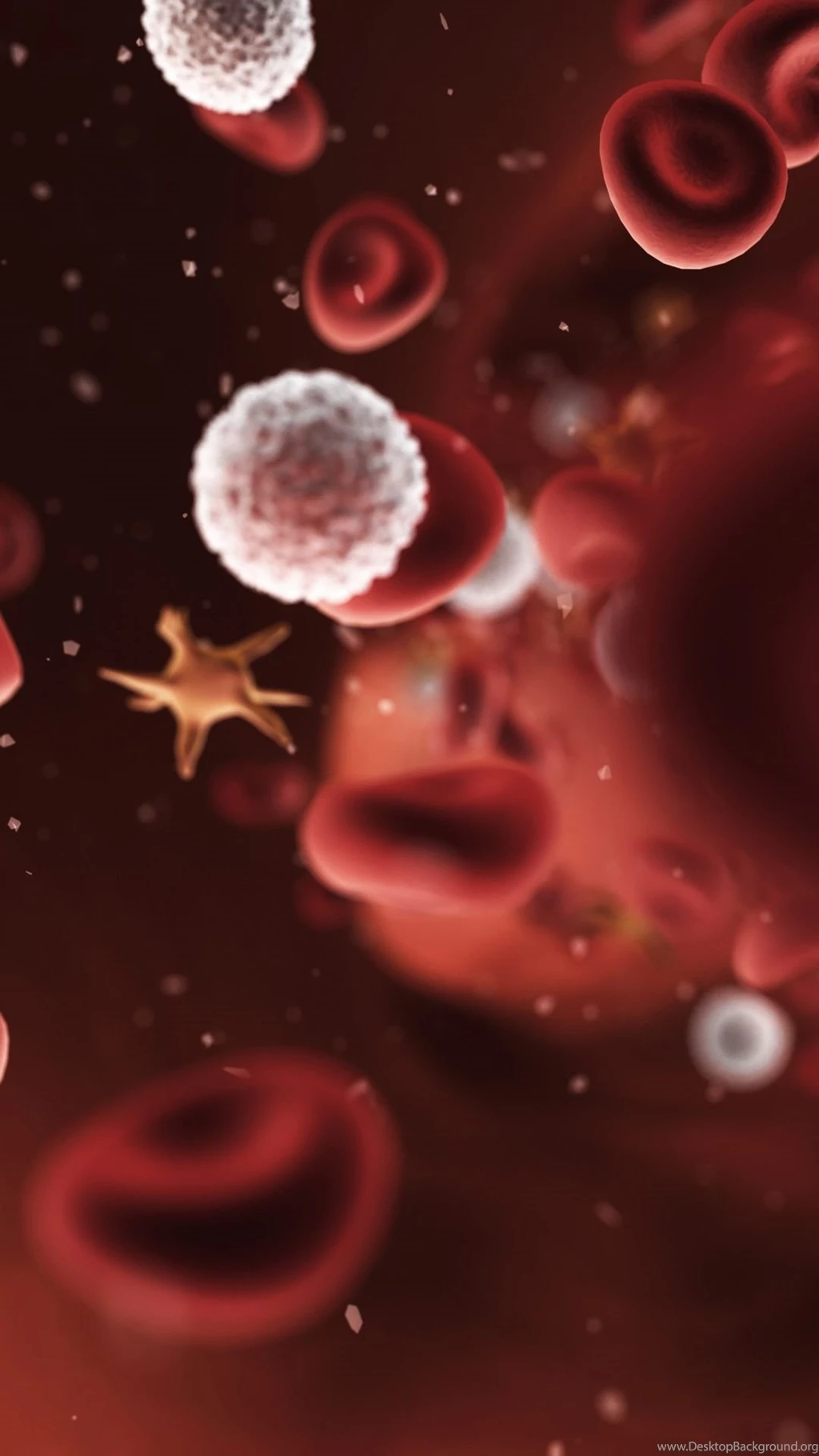 Sony Xperia Z1, ZL, Z, Samsung Galaxy S4, HTC One Blood Wallpapers ...