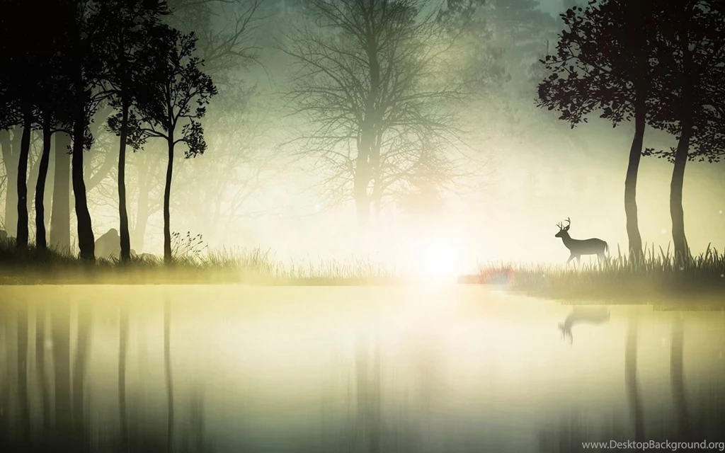 Lots Of Pictures!: Desktop Wallpapers Ultra HD Nature