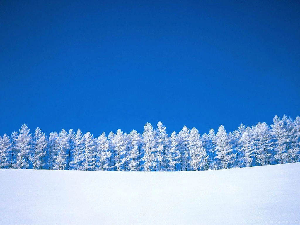 Snow Desktop Wallpapers 7.jpg