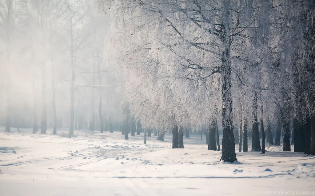 Snow wallpaper 1002 amazing wallpapers.jpg