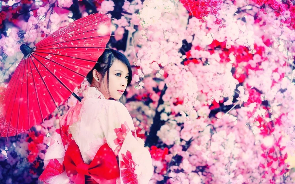 Geisha Widescreen Wallpapers