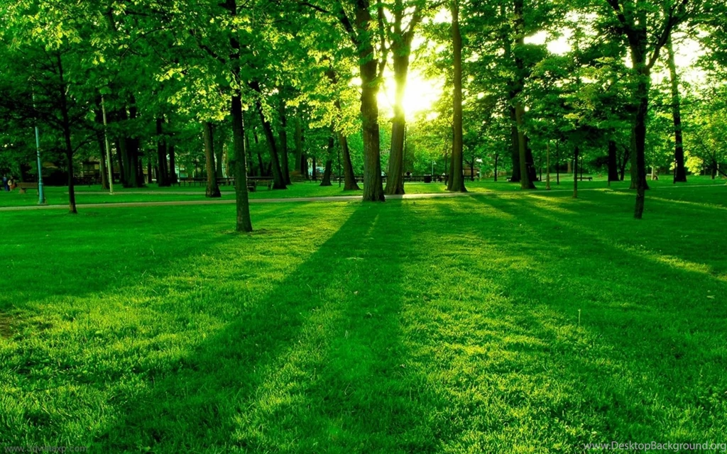 Sunlight Desktop Wallpapers HD Wallpaper Backgrounds Of Your Choice
