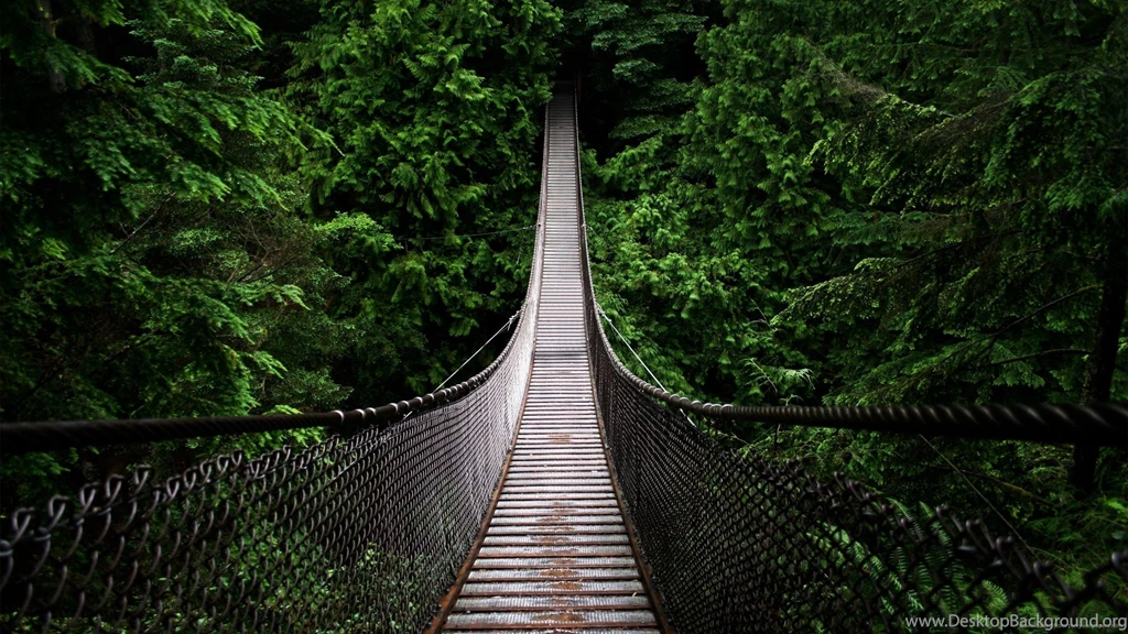 Download 2560x1440 Bridge Into The Woods Wallpapers