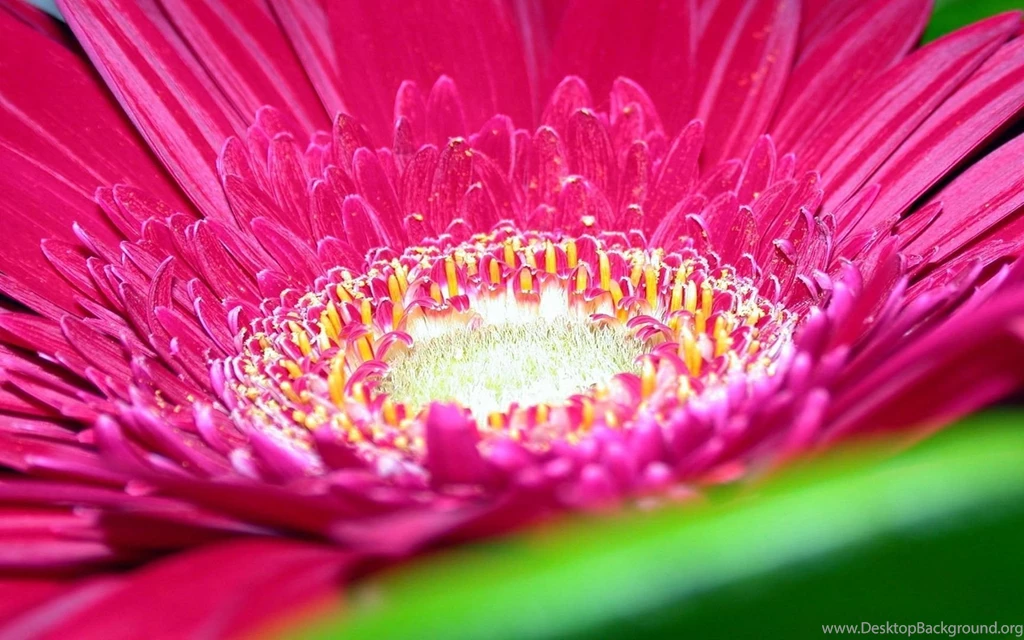 HD Wallpapers Source   Page 436 Of 489   100% Quality HD Desktop ...