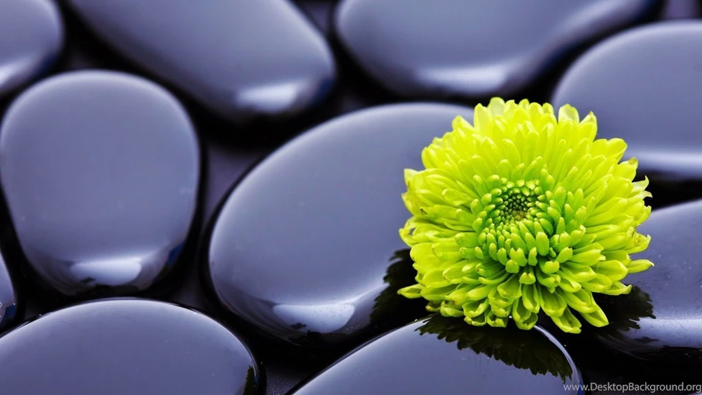 Chinese Zen Meditation Pictures 1080p Full HD Widescreen ...