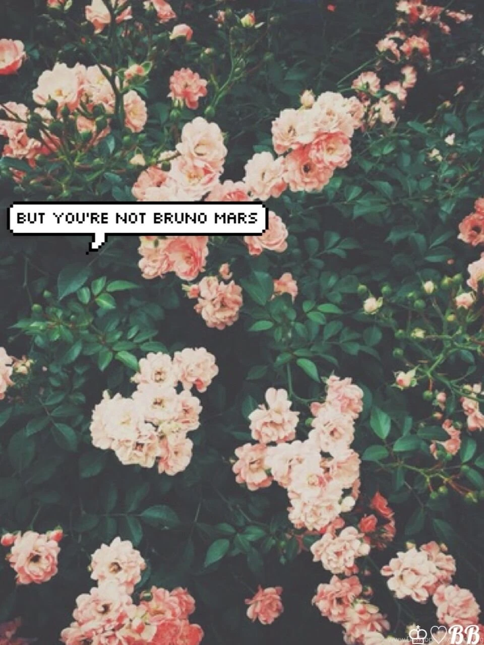 Internet Princesses♡♔ — iPhone 5 Floral Backgrounds + Transparent ...