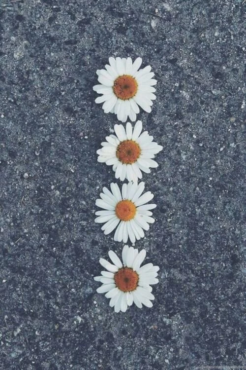 Girly Iphone Wallpapers Floral Wallpapers