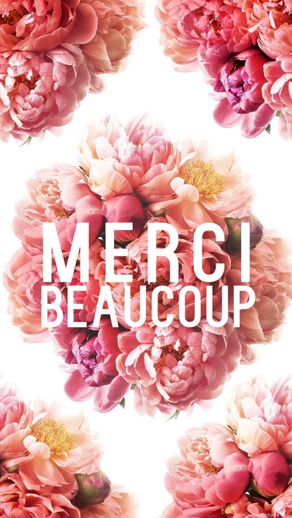 LEAKED — [THANK YOU VERY MUCH FLORAL EXPOSION] Iphone 6...