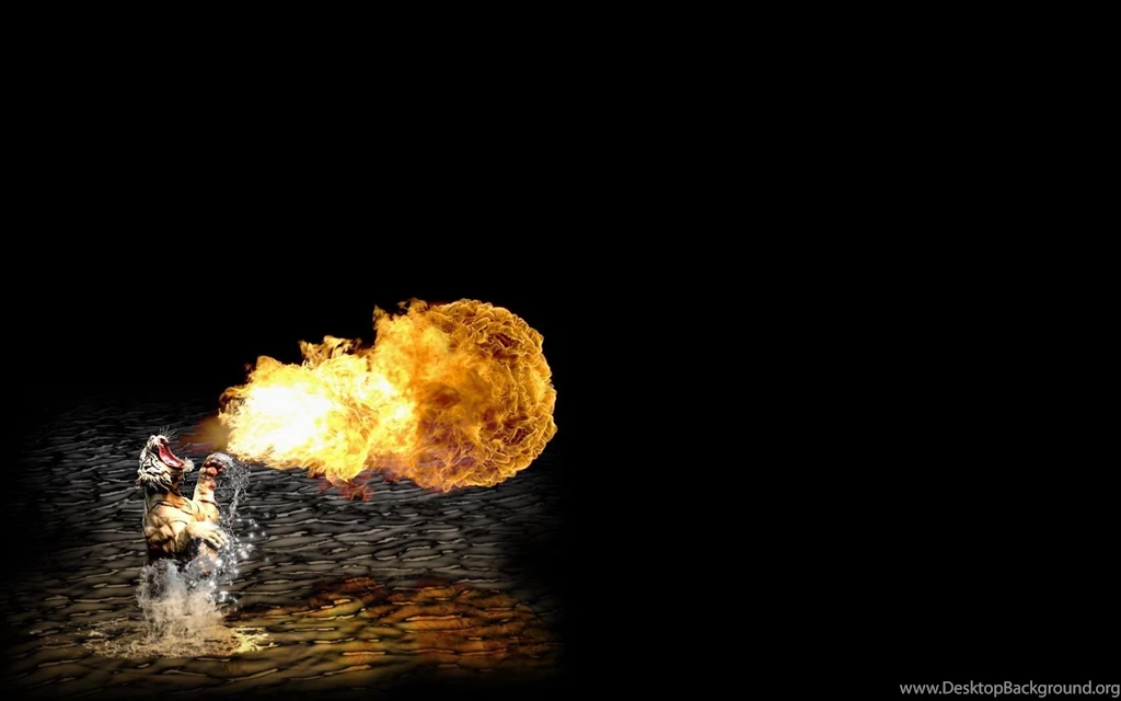Hd Tiger Wallpapers GRS12