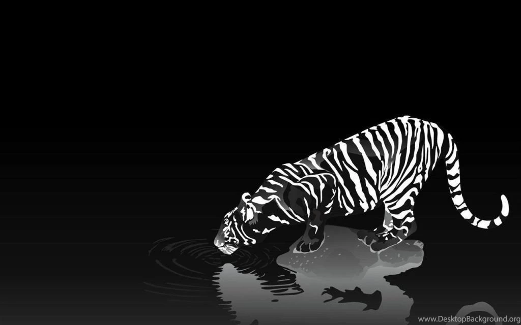 Wildlife Of The World: Tiger Desktop Wallpapers HD