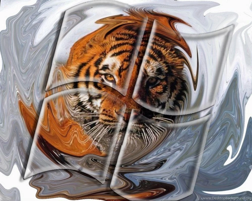 Tiger Photos For Desktop