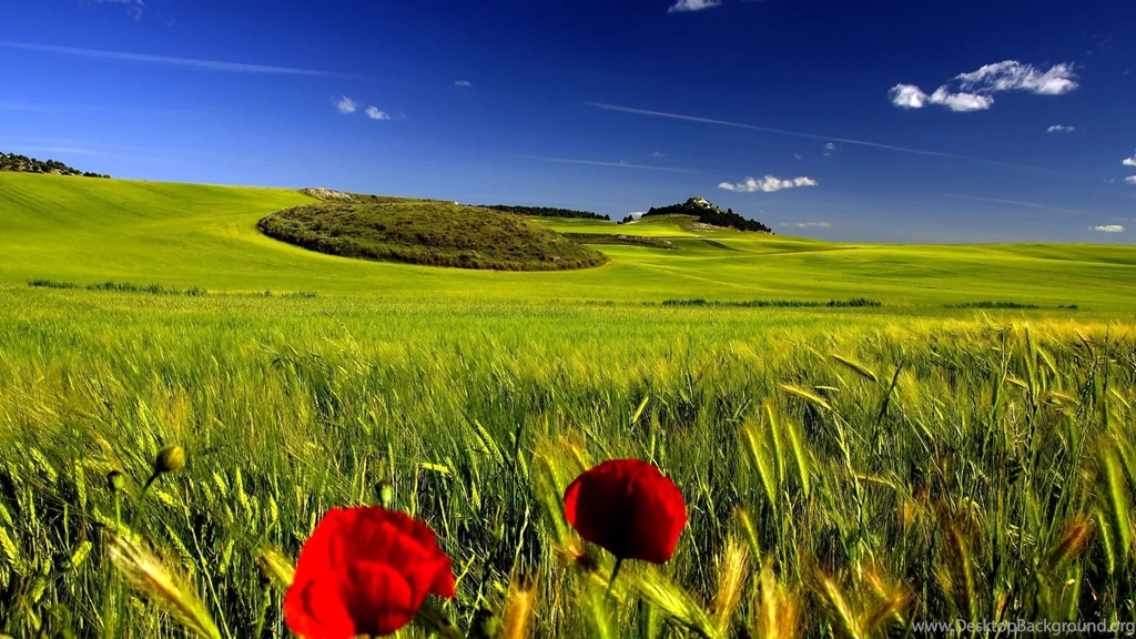 Nature Wallpapers Hd