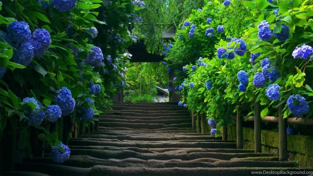 Beautiful Nature Green Road – 1024×576 High Definition Wallpapers ...