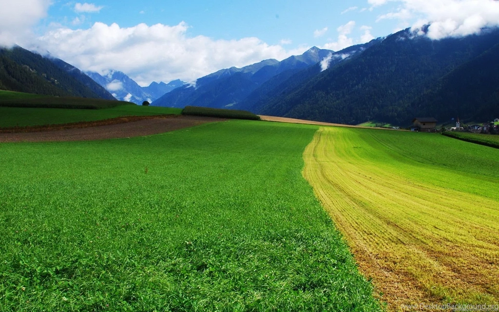 Nature Fancy Cool Wallpapers HD 1080p