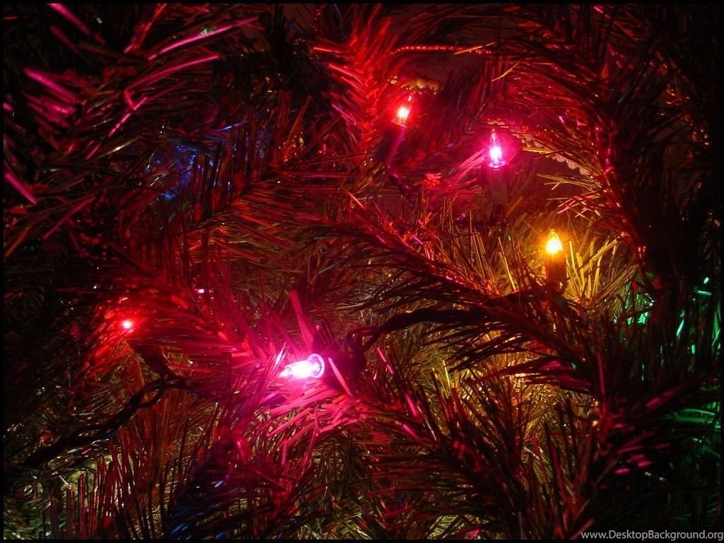 1024x768 Sad Little Christmas Desktop PC And Mac Wallpapers
