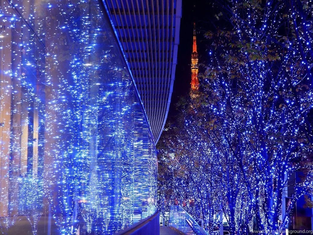 Christmas Night Lighting Dislpay Wallpapers Christmas Lights ...