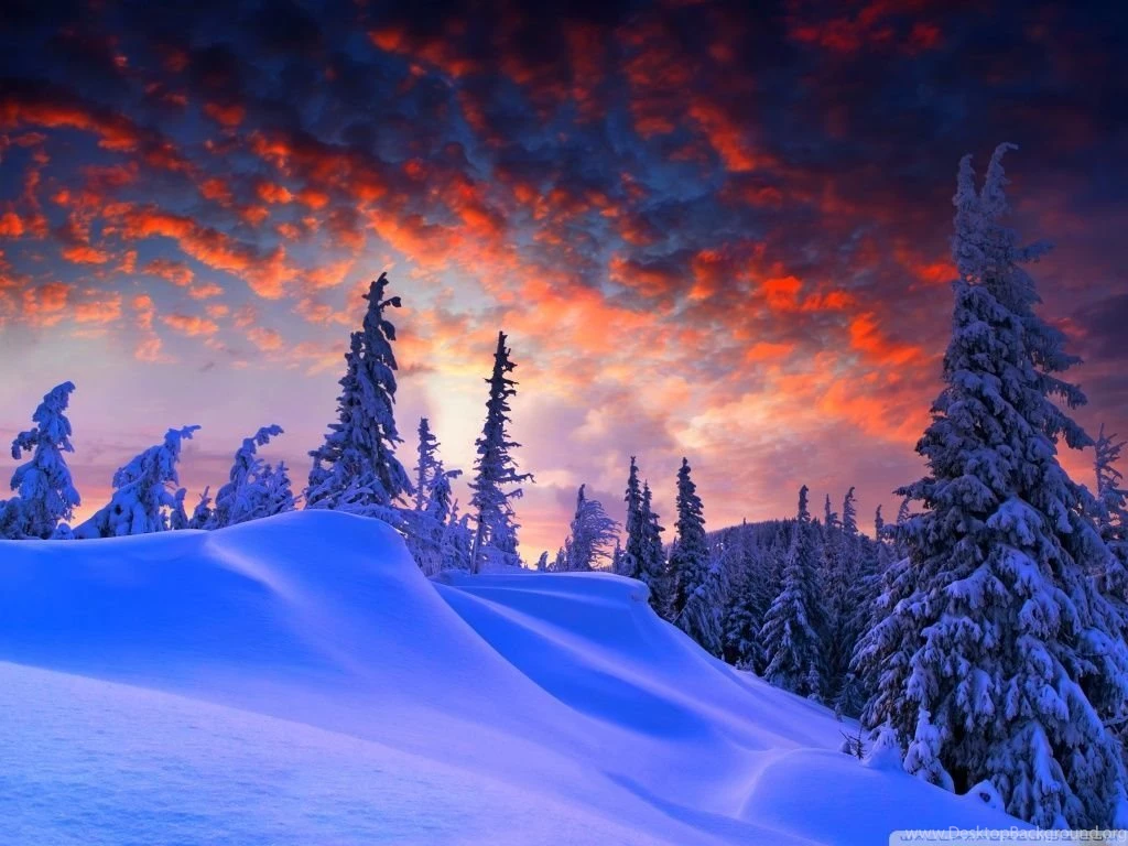 Winter Christmas HD Desktop Wallpapers : Widescreen : High ...