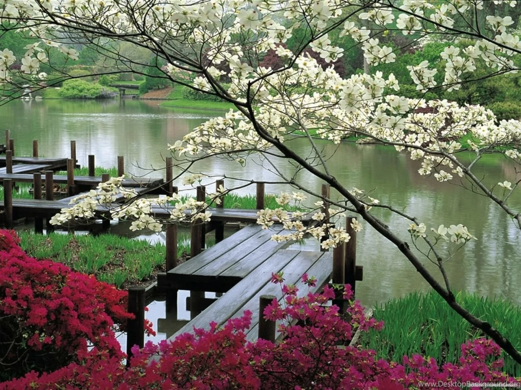 Japanese Garden Desktop Wallpapers