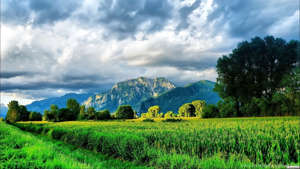 Nature Wallpapers 1920X1080 58935