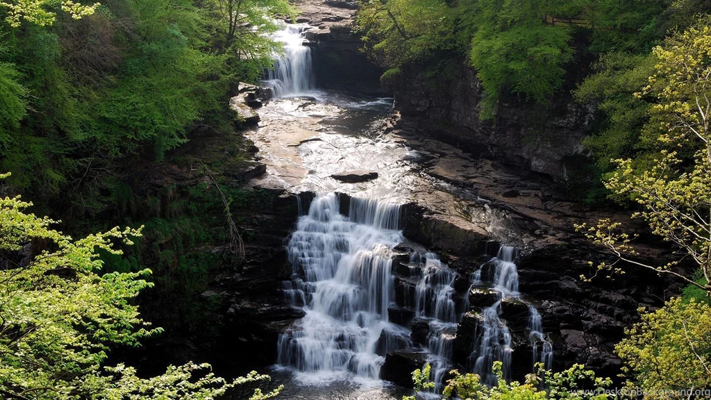 1920X1080 Nature Wallpapers 17582