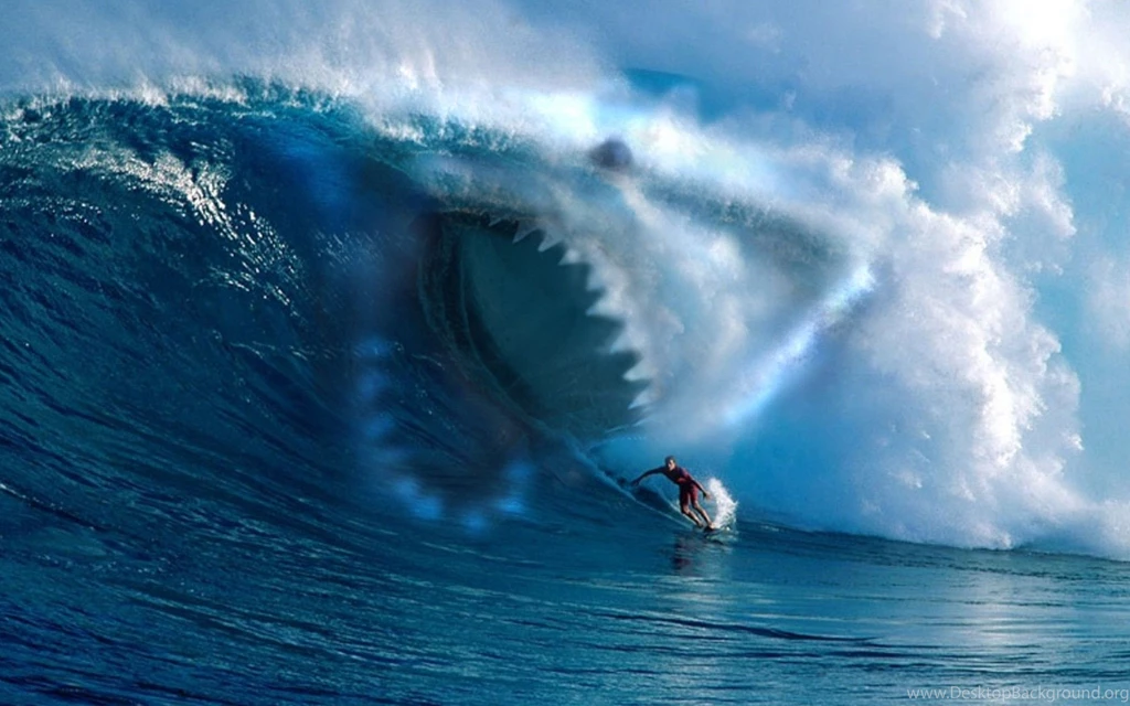 Wallpapers Sea Sport Wave Teeth Scary Shark Surfing Free Hd ...