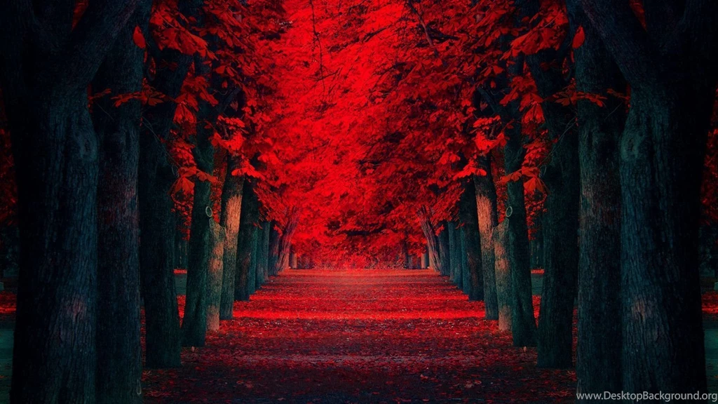 Red HD Wallpapers