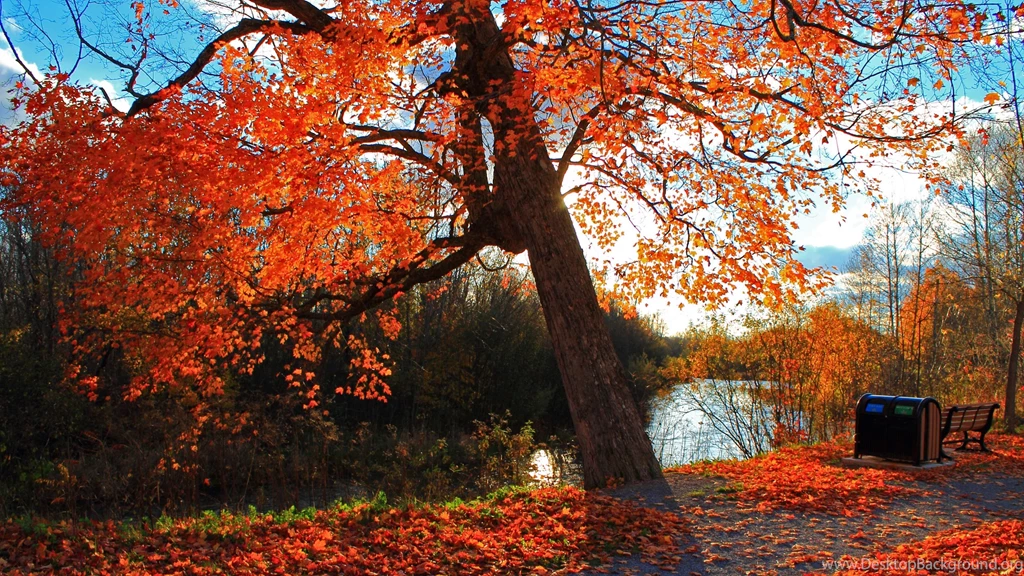 4K Ultra HD Autumn Wallpapers HD, Desktop Backgrounds 3840x2160 Desktop ...