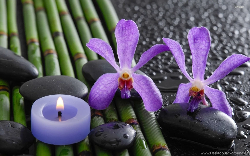 Purple Orchids On Bamboo Sticks Wallpapers Flower Wallpapers